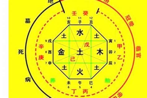 甲辰年八字|生辰八字算命、五行喜用神查询（免费测算）